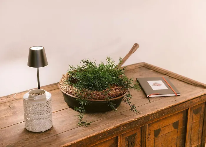 Nicos Daheim * Söll